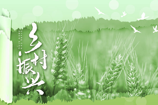 沈阳市人民政府办公室关于印发沈阳市2023年工程建设项目审批制度改革实施方案的通知(沈政办发〔2023〕12号)